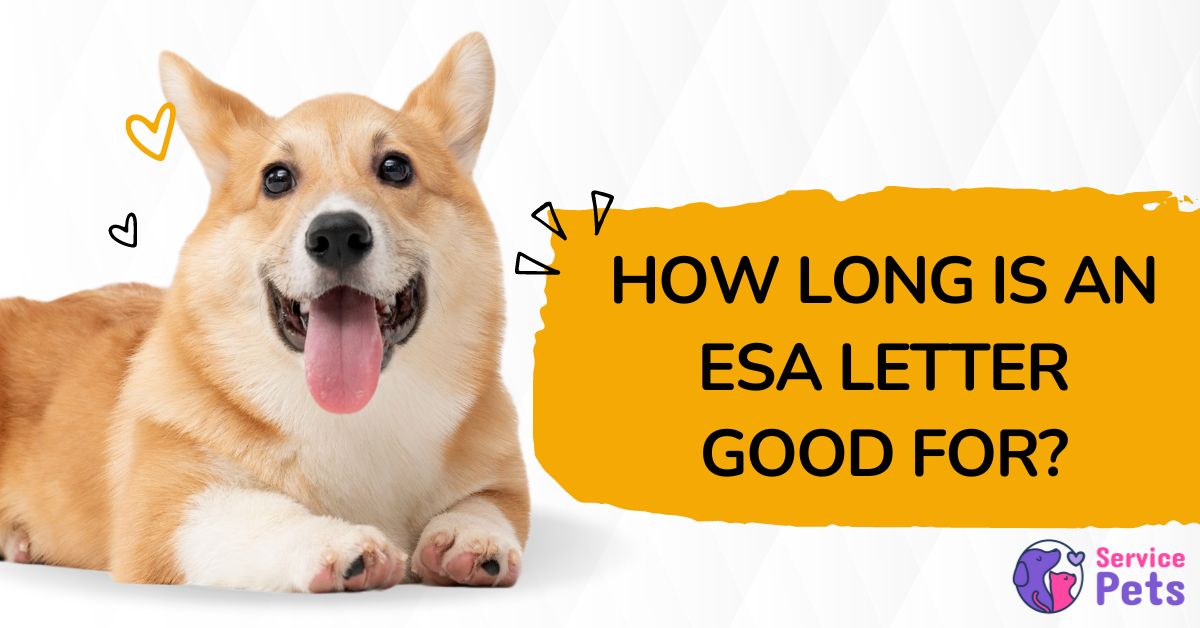 How long is an esa letter good for
