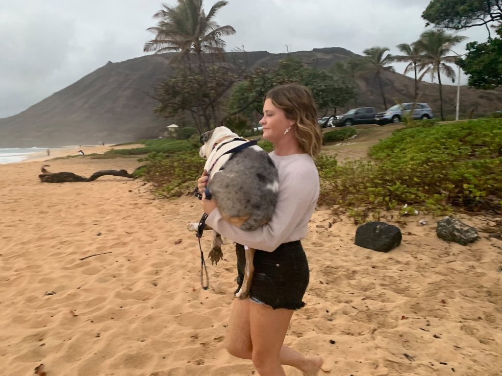 girl carrying service animal on beach - Emotional Support Animals