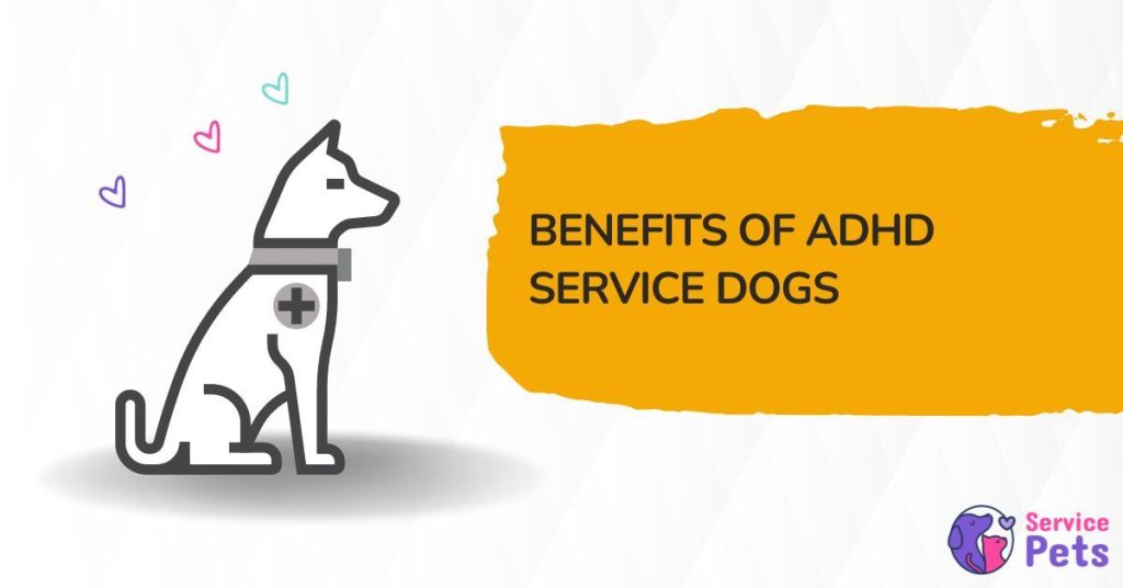 ADHD Service Dog Training, Benefits, and Emotional Support Service Pets