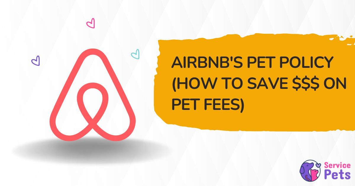 airbnb service animal policy