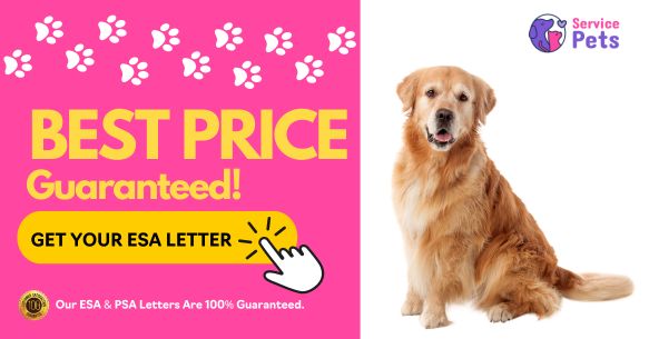 best esa letter prices guaranteed - Emotional Support Animals