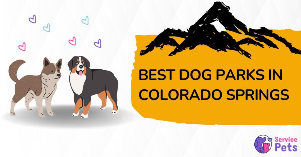 Discover the Best Dog Parks Colorado Springs Has to Offer Service Pets