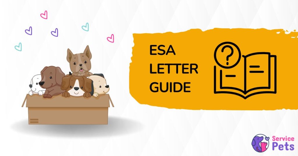 Your Comprehensive ESA Letter Guide Certify Your Pet Today Service Pets