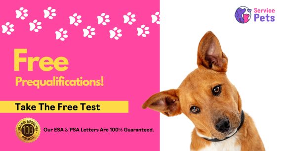 free prequalification test for esa - Emotional Support Animals