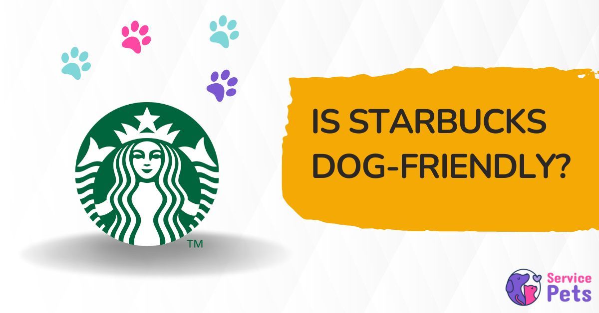 are dogs allowed in Starbucks