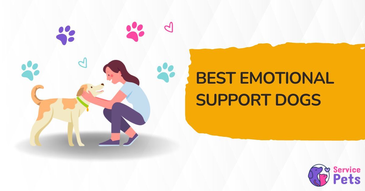 best emotional support dogs