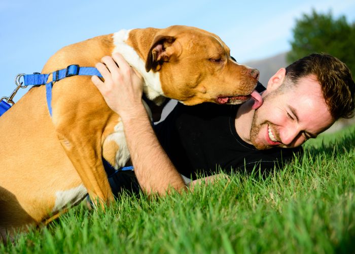 dog licks face - Emotional Support Animals
