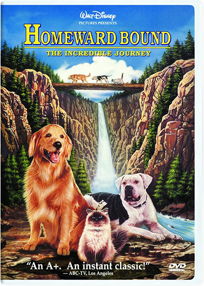 best dog movies of all time