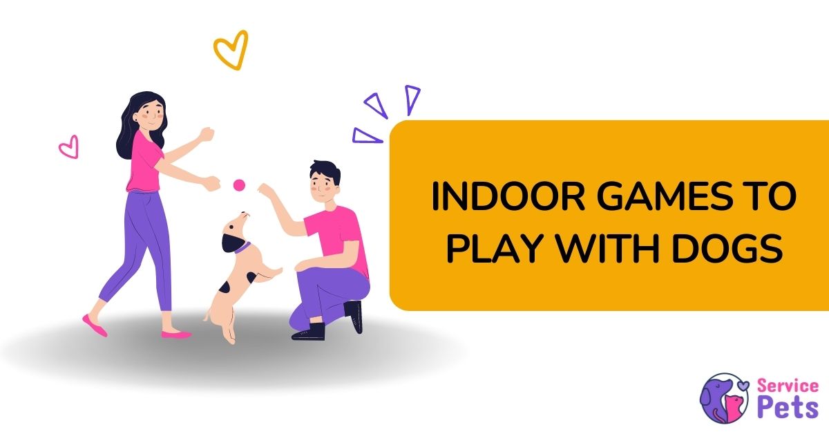 play games inside with dogs