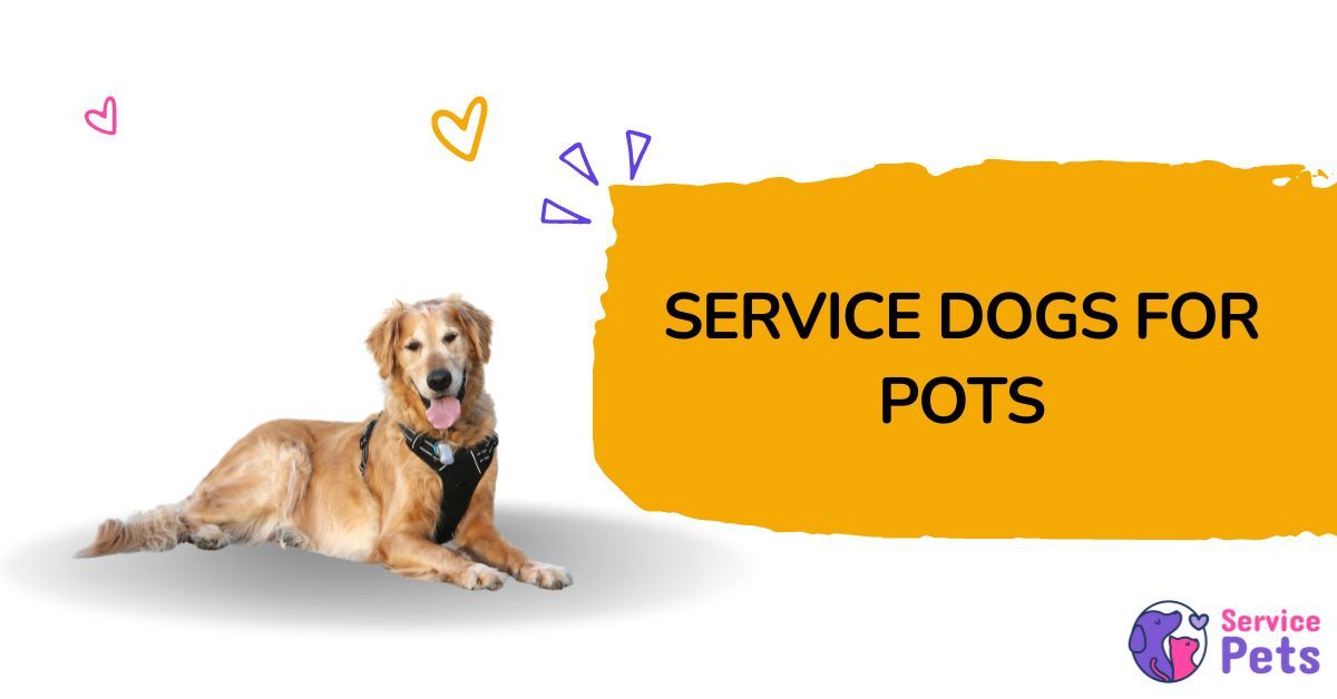 service dog for pots