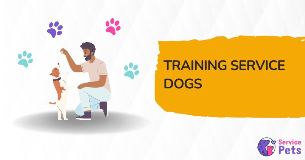 How to Train a Psychiatric Service Dog Essential Steps Service Pets