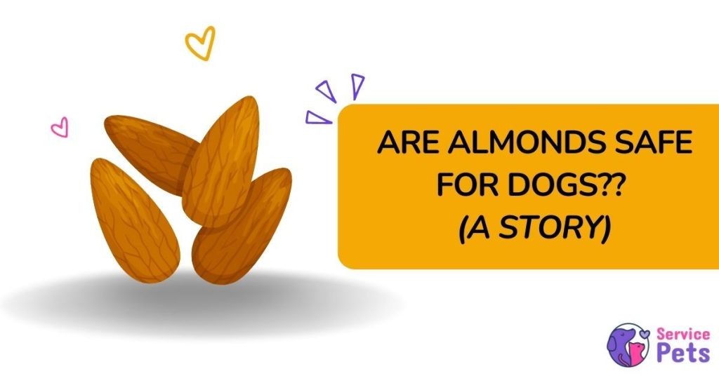 Can Dogs Eat Almonds? (Risks, Symptoms & Safe Alternatives) Service Pets