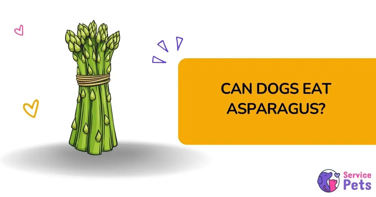 are dogs able to eat asparagus?