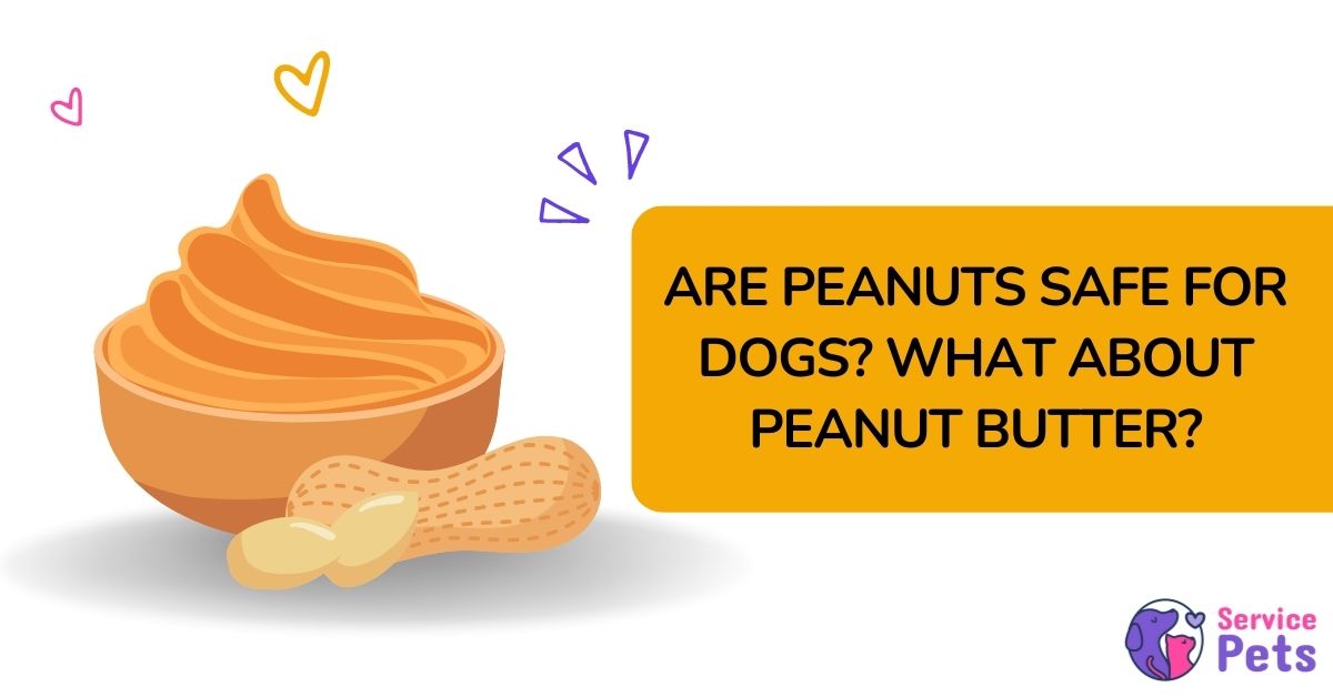are dogs able to eat peanuts?