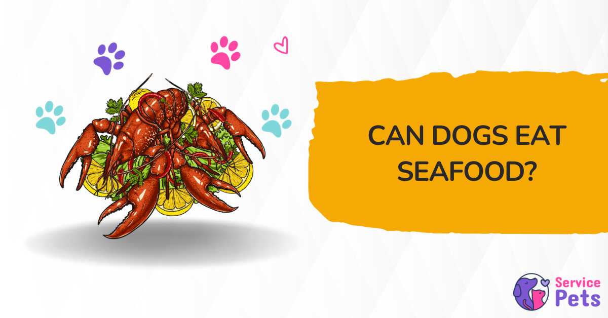 Can Dogs Eat Seafood? A Guide to Your Pet's Diet Service Pets