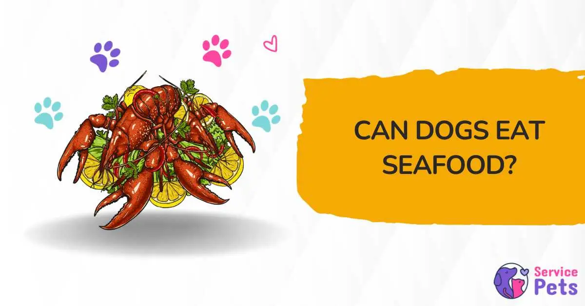 Can Dogs Eat Seafood?
