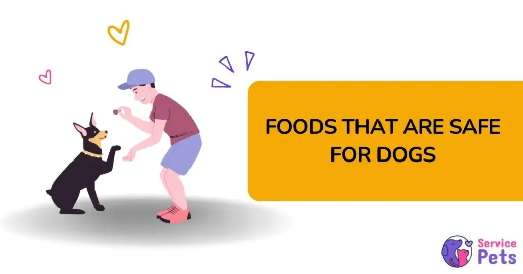 what human food can dogs eat