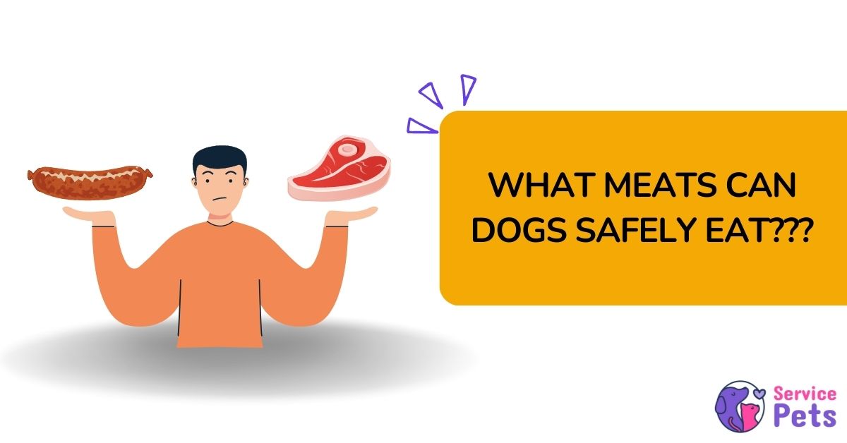 the types of meat dogs can safely eat