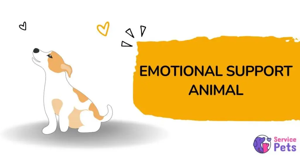 Emotional Support Animal